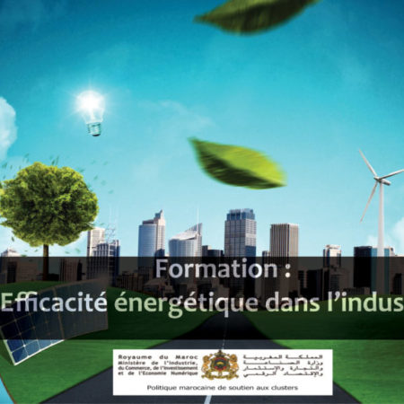 Préparation des Bâtiments pour des Conditions Climatiques Extrêmes grâce à un Audit Énergétique à Lyon