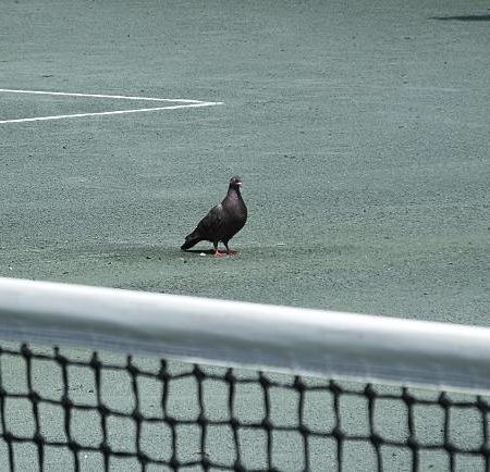 Comment maximiser la durée de vie d’un court en béton poreux à Cannes ?