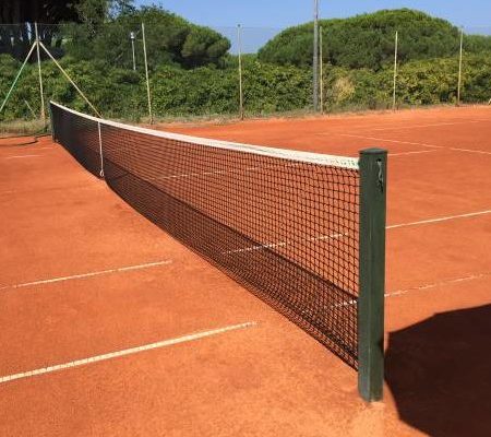 Construction court de tennis chambery: Quels sont les traitements contre la mousse sur un court de tennis à Chambéry ?