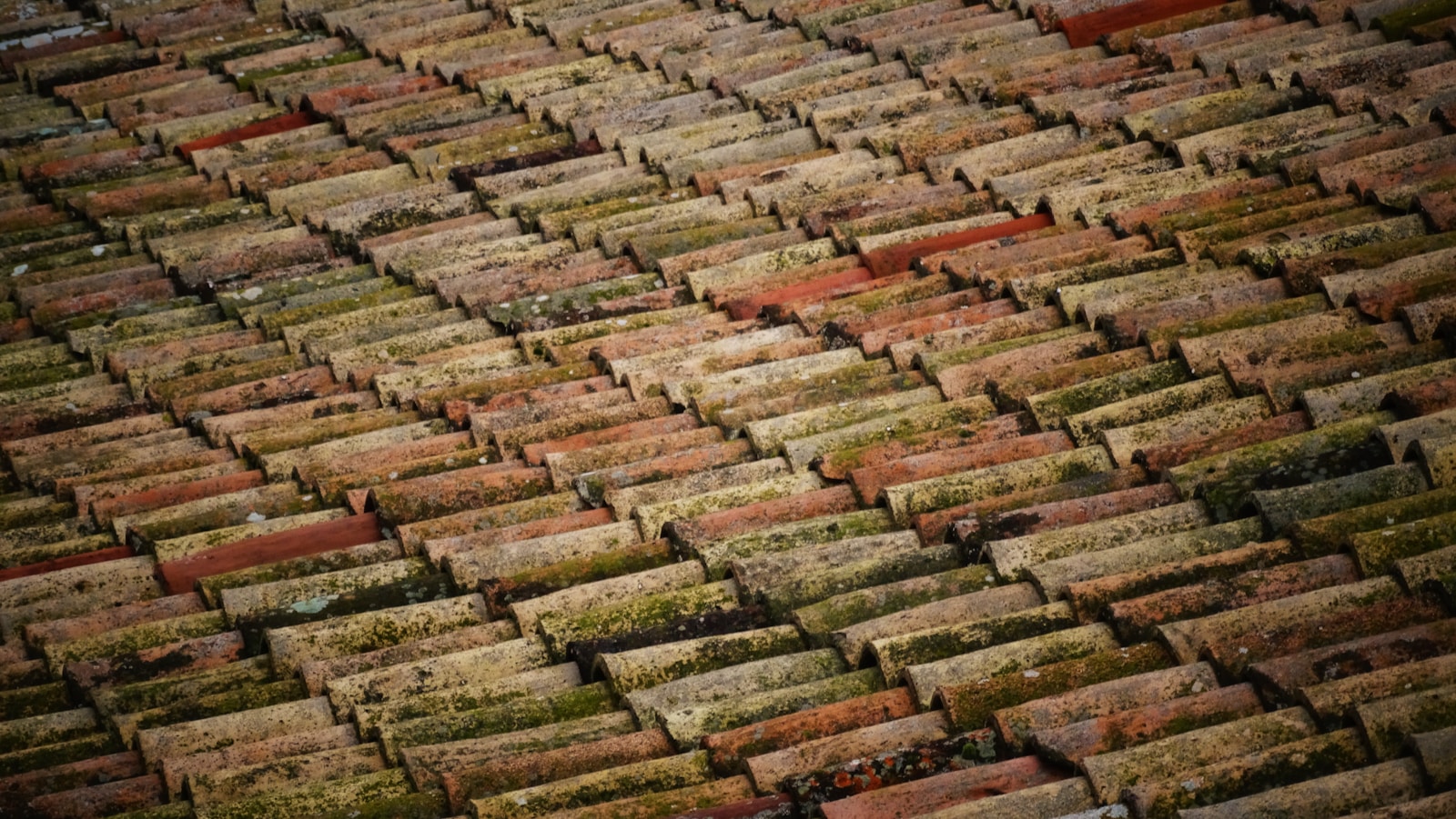 brown roof bricks at daytime