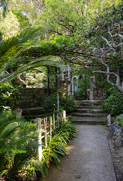 conception de jardin à Cannes
